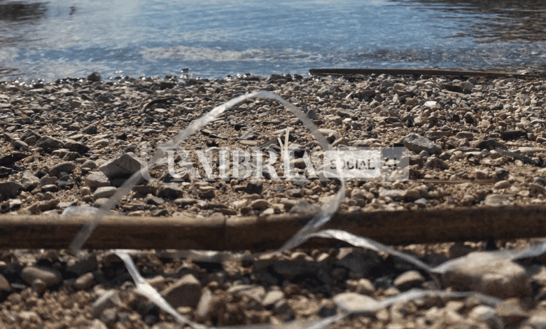 Microplastiche nei laghi: monitoraggio tra Bracciano, Trasimeno e Piediluco 1 Schermata 2022 07 12 alle 12.41.32