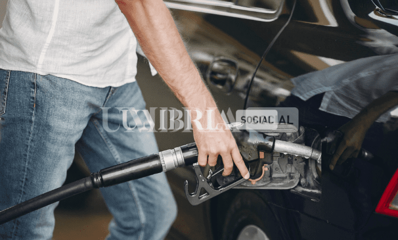 Prezzo di benzina e diesel in leggero calo: piccolo spiraglio di luce 1 Schermata 2022 07 19 alle 15.51.36