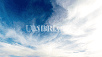 Il grande caldo se ne va? Le temperature si abbasseranno leggermente, ma non troppo 5 Schermata 2022 07 27 alle 16.34.56