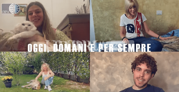 L'Oipa lancia la campagna estiva contro l’abbandono degli animali 1 Screenshot 3