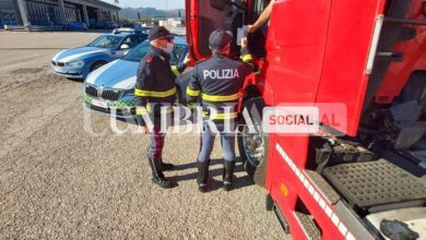 Trasporto di pesce irregolare, la Polizia Stradale sanziona un camionista 2 Stradale 7