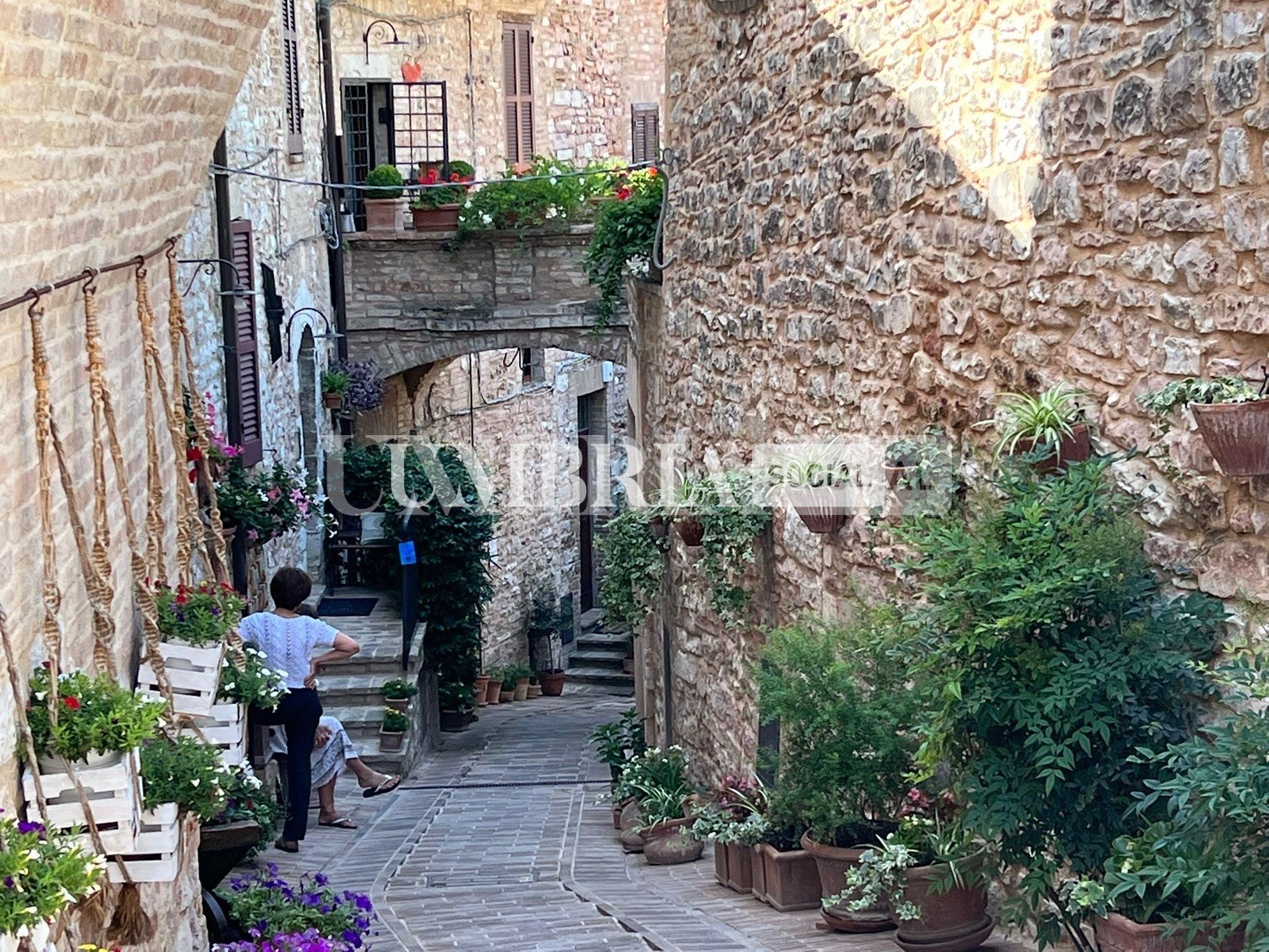 Via Torre Belvedere di Spello fra le 20 strade più belle del mondo (foto) 2
