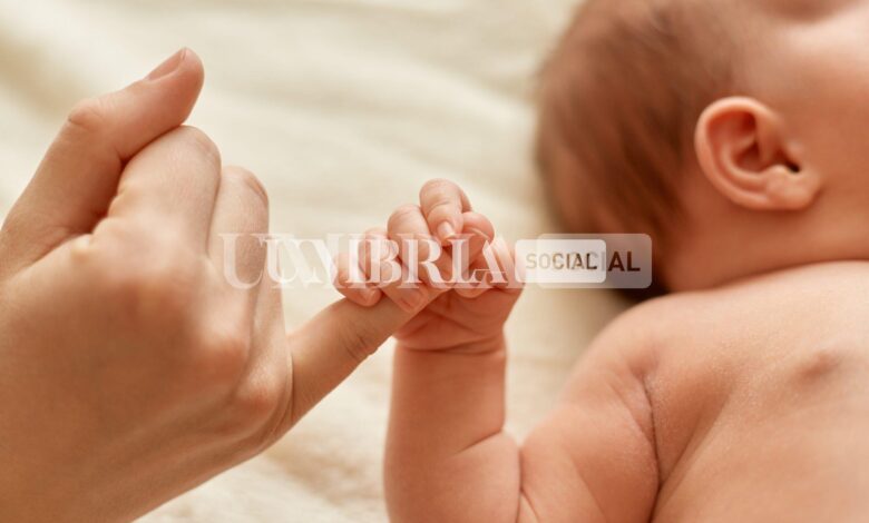 Bonus bebè, la regione Umbria finanzia assegni per i nuovi nati 1 faceless mother with naked baby infant holding mommy s finger mum spending time with her tiny child light background scaled