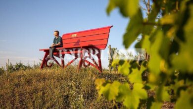 In Umbria arriva la prima Big Bench, la panchina verrà installata a Colle Umberto 10 1744 tag 6101