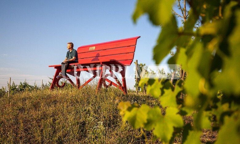 In Umbria arriva la prima Big Bench, la panchina verrà installata a Colle Umberto 1 1744 tag 6101