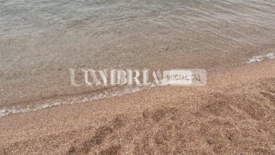 Vende aria di mare: l’idea di successo di uno studente universitario in Salento 13 4956E6A6 86FC 474D B7F7 BA4831D648CA scaled