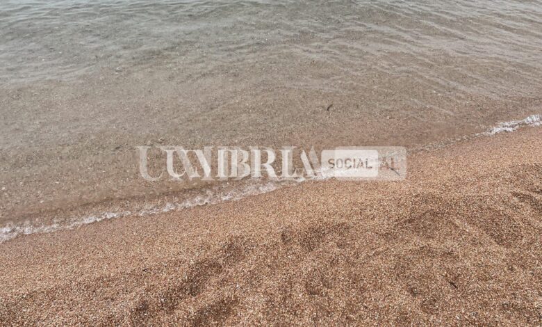 Vende aria di mare: l’idea di successo di uno studente universitario in Salento 1 4956E6A6 86FC 474D B7F7 BA4831D648CA scaled