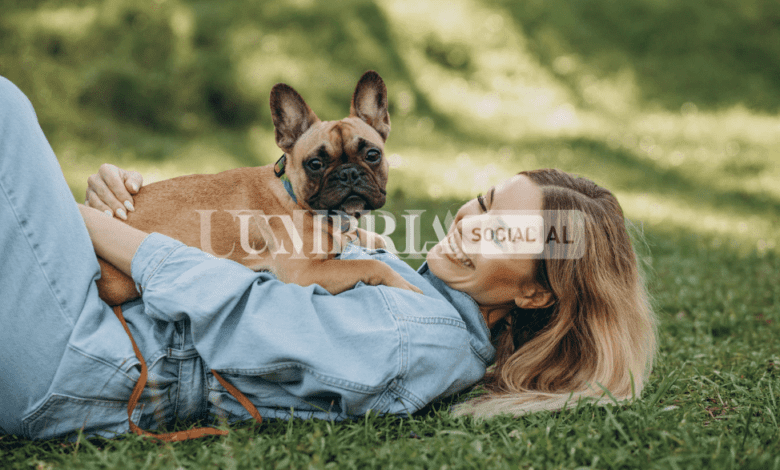 "Vai in vacanza? Non mi abbandonare!", tante campagne di sensibilizzazione contro l'abbandono degli animali 1 Cane