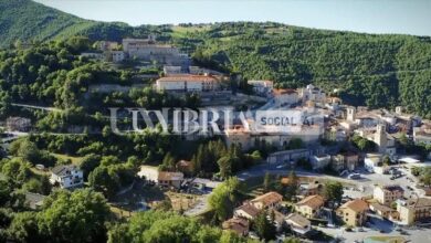palio di santo spirito cascia repertorio 8