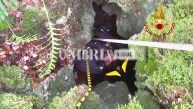 I vigili del fuoco di Spoleto salvano un cane finito in una profonda cavità 13 28784160 64cf 45e1 90be 0263addb28d9