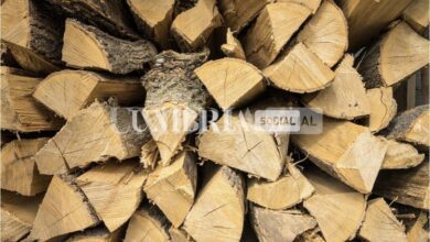 C835D379 8C99 4F82 9B28 844437DCE956