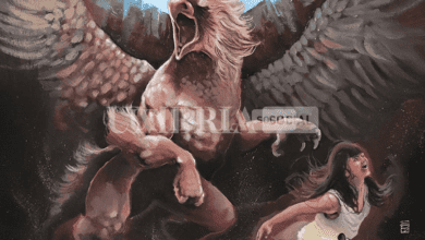 Schermata 2022 09 22 alle 16.51.58