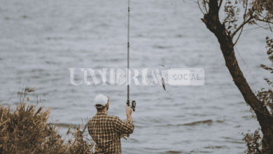 Umbria, il caro energia colpisce anche la pesca professionale: contributi a pescatori e cooperative 9 Schermata 2022 09 30 alle 10.38.50