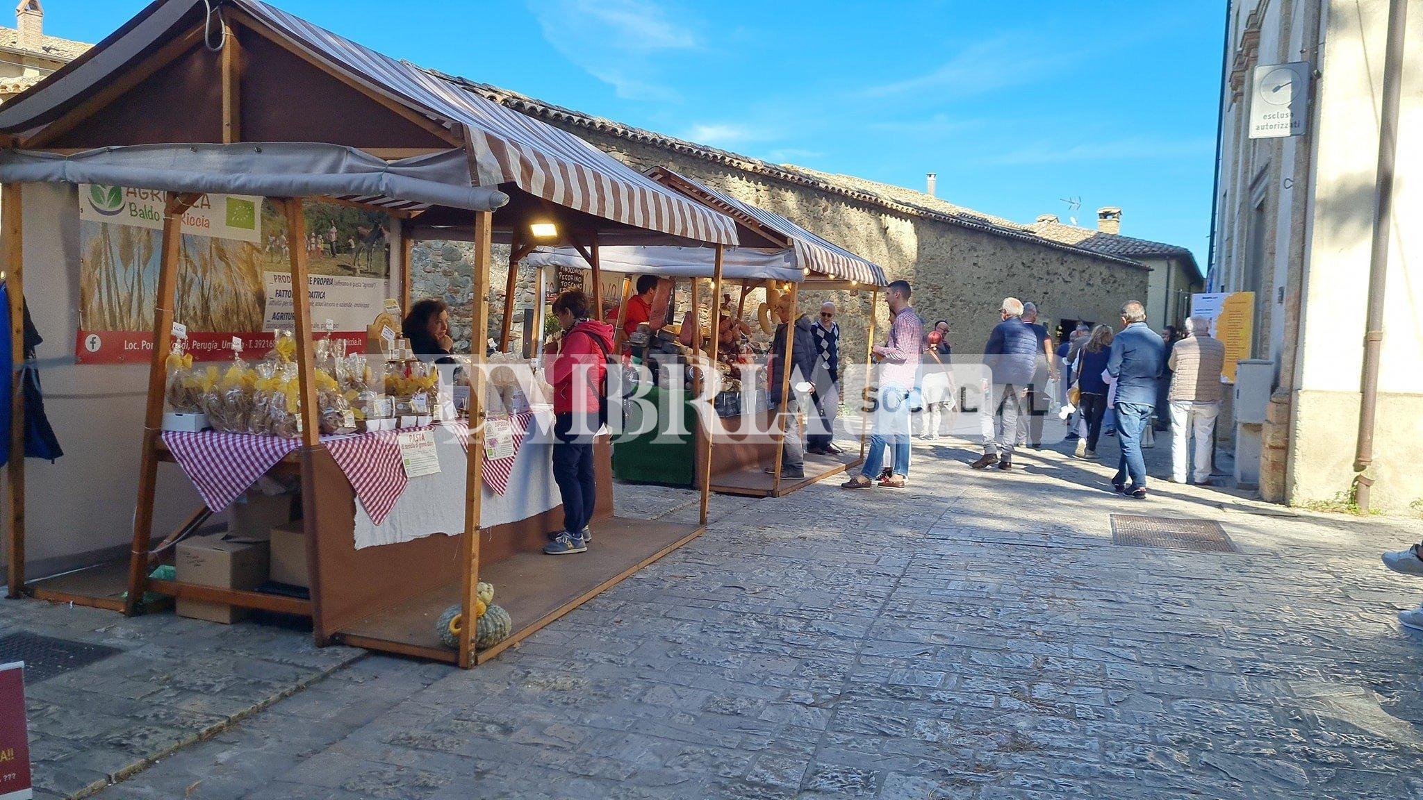 A Montone ha preso il via la Festa del Bosco 2022 4