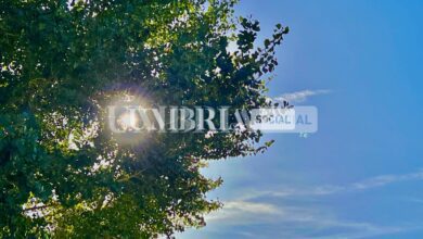 Clima estivo e bellissime giornate, sarà un ponte di Ognissanti meteorologicamente splendido 13 CC4DBC1B 2656 4827 A993 3E9671563C1B scaled