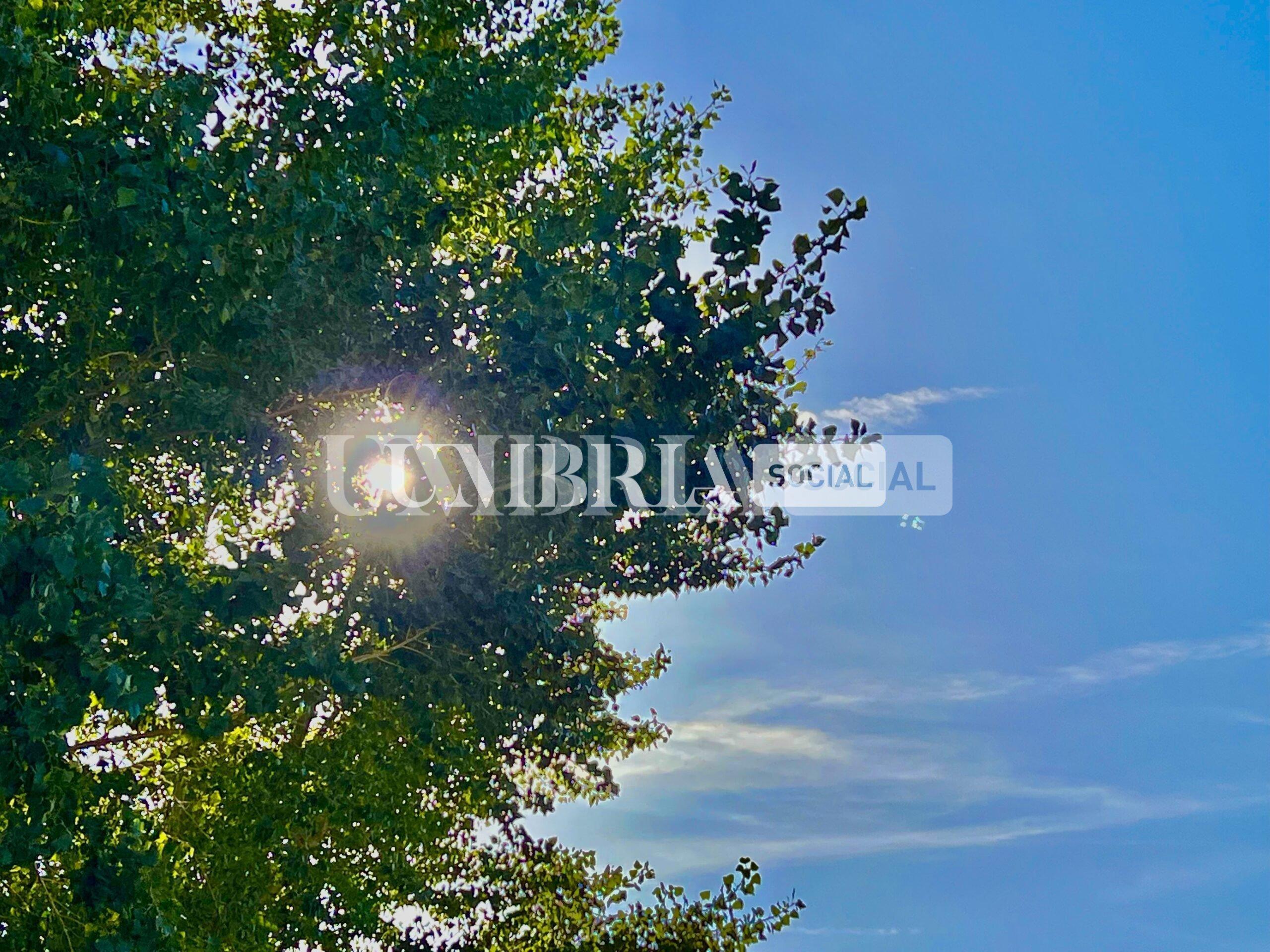 CC4DBC1B 2656 4827 A993 3E9671563C1B scaled