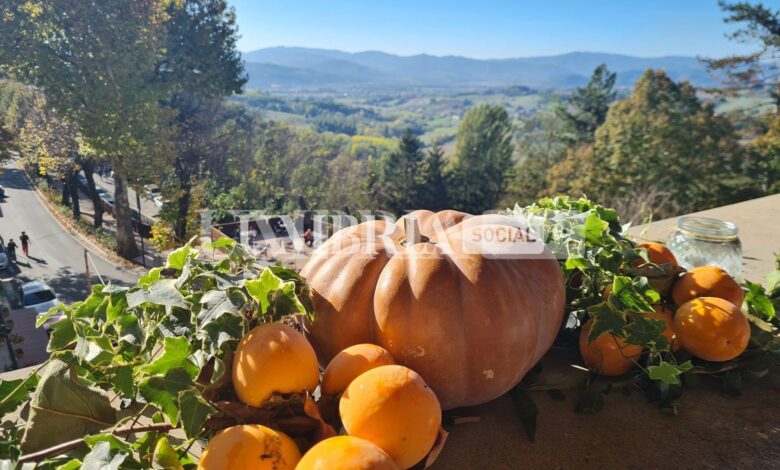 A Montone ha preso il via la Festa del Bosco 2022 1 EBA2F854 E177 4708 9412 073A705B0645