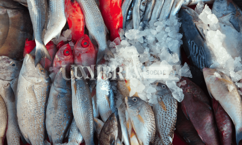 Gubbio, il 'caso' del pranzo di pesce "indimenticabile" che spopola sul web e le precisazioni del ristoratore 1 Schermata 2022 10 21 alle 13.01.56