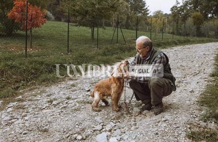 Nonostante la perdita della vista, il cocker spaniel Leo non smette di cercare tartufi (foto) 1 WhatsApp Image 2022 10 27 at 08.46.26 1