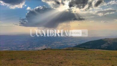 Resubasio: nasce una nuova associazione tra natura, arte e cultura 8 290359457 10228179825991487 5603449004046891150 n