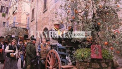 Manifestazione Loro di Spello 2