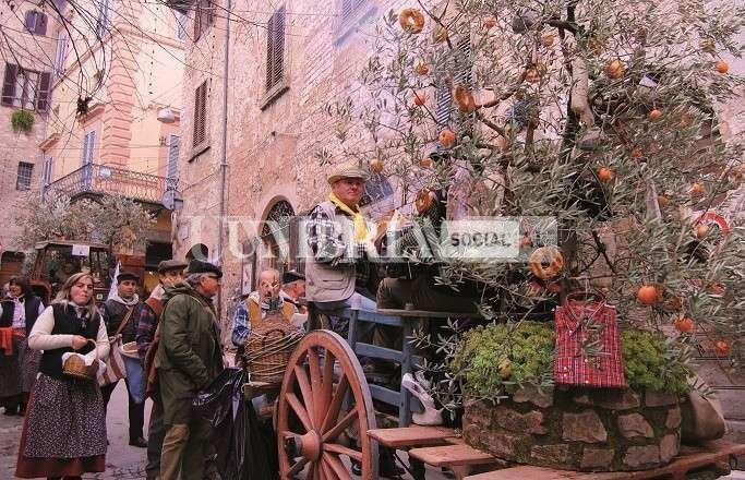 Manifestazione Loro di Spello 2