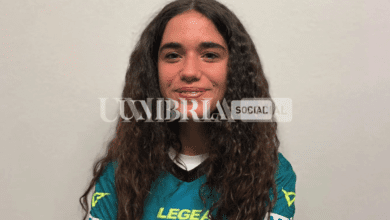Schermata 2022 11 04 alle 12.27.08