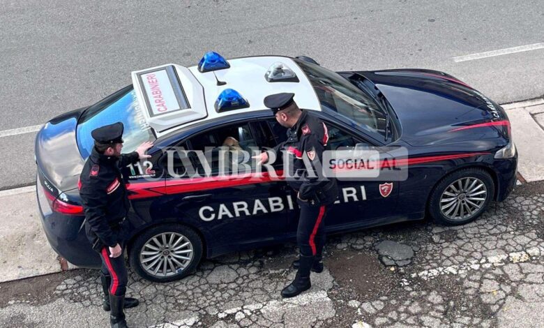 Cucciolo di cane disperso sulla E 45 salvato dai carabinieri 1 cane