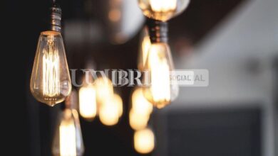 Federconsumatori Perugia, AGCM avvia procedimenti istruttori a carico di 7 società di energia 11 360175ED C428 488E 89CE 32548544C9E4