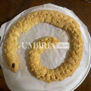 Torciglione umbro alle mandorle: ricetta e preparazione 2 PHOTO 2022 12 22 11 52 59 1