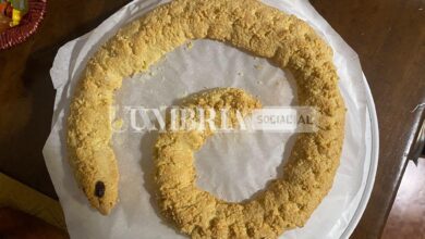 Torciglione umbro alle mandorle: ricetta e preparazione 8 PHOTO 2022 12 22 11 52 59 2