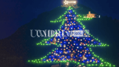 Acceso a Gubbio l’albero di Natale più grande del mondo 12 Schermata 2022 12 09 alle 21.23.44