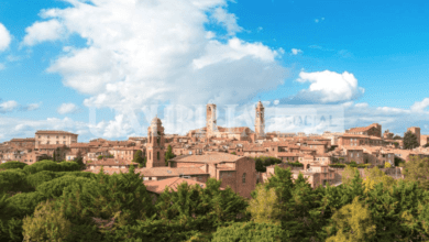 Città della Pieve scende in campo per la terza Giornata Ecologica 10 Schermata 2023 01 31 alle 12.03.51