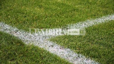 closeup shot painted white lines green soccer field germany 181624 8494