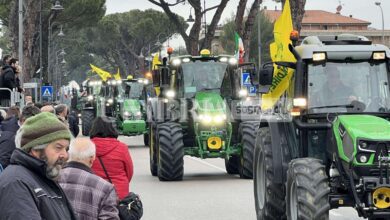 Festa degli Agricoltori 2023, ad Assisi in tantissimi da tutta l’Umbria e non solo (foto) 6 5E328721 C158 450F A14A FE440C51295F scaled