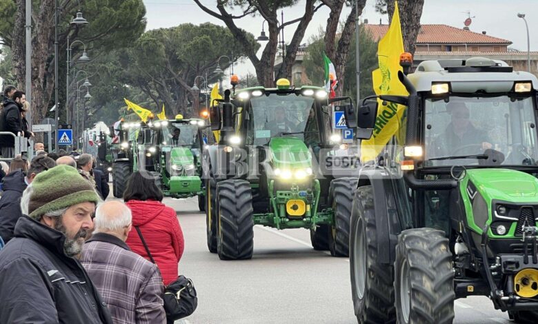 Festa degli Agricoltori 2023, ad Assisi in tantissimi da tutta l’Umbria e non solo (foto) 1 5E328721 C158 450F A14A FE440C51295F scaled