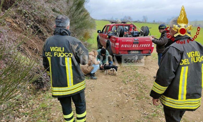 Cane intrappolato in una tana d'istrice salvato dai pompieri (foto) 1 IMG 20230219 WA0005