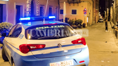 Scavalca una recinzione e rimane incastrata nella ringhiera: soccorsa dalla polizia, 118 e vigili del fuoco 7 Schermata 2023 02 14 alle 15.46.48