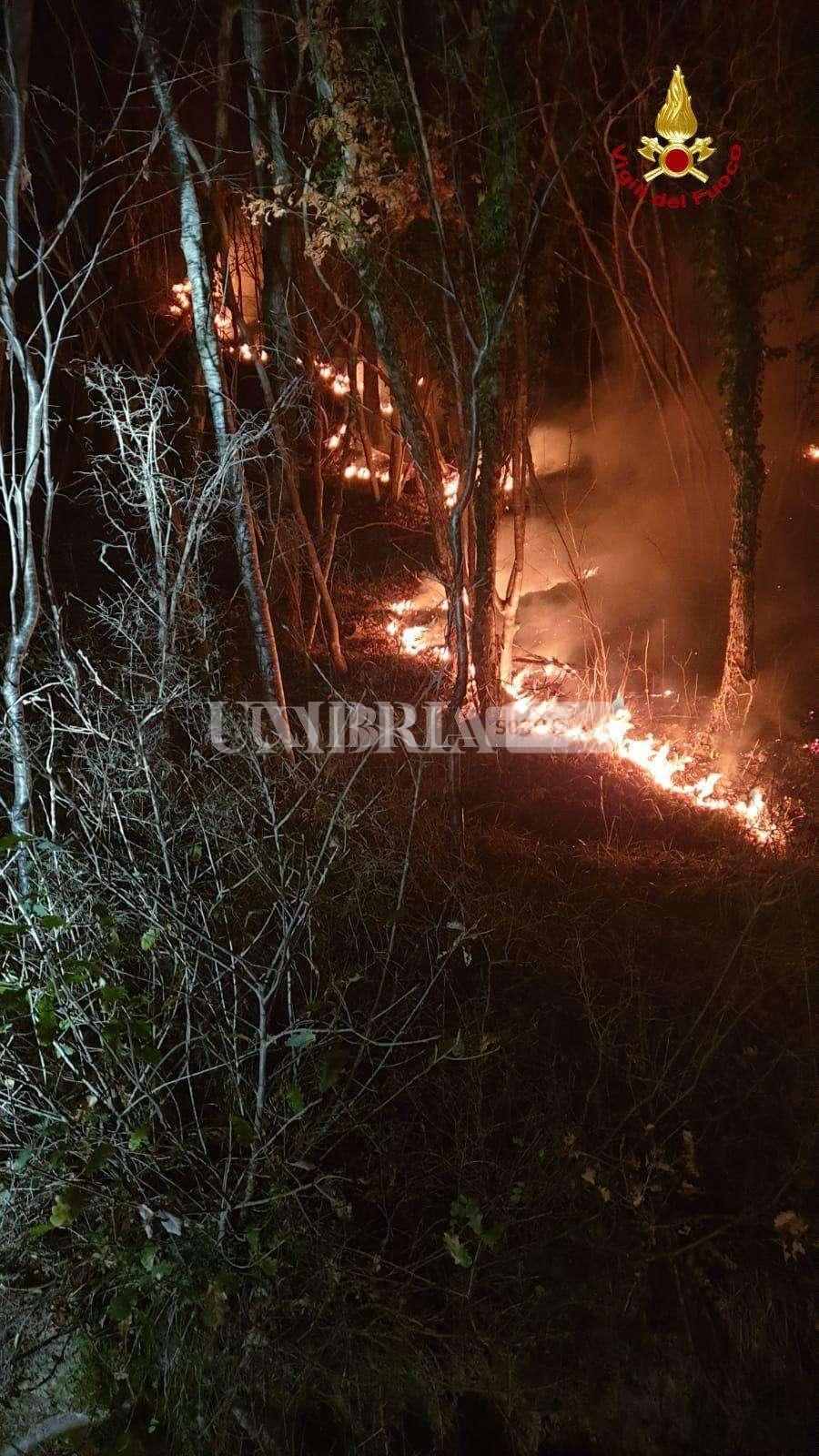Gubbio, incendio in località Montanaldo: a fuoco 2 ettari di bosco 2
