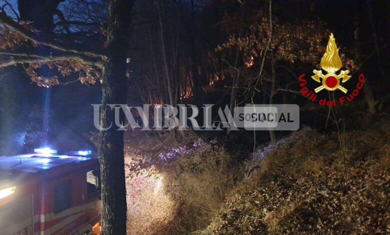 Gubbio, incendio in località Montanaldo: a fuoco 2 ettari di bosco 1 WhatsApp Image 2023 02 08 at 12.43.08