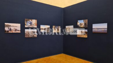 “Acqua elemento sociale”, il lago Trasimeno in mostra a Castiglione 3 acqua2