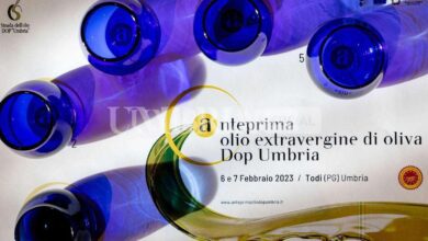 Olio extravergine Dop Umbria, presentata a Todi la nuova annata 4 anteprimaolioDop4