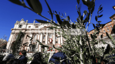 L'Umbria invierà ramoscelli di olivo in Vaticano per la celebrazione della Domenica delle Palme 5 331514946 505415604893281 6864256400637175595 n