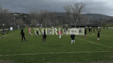 Schermata 2023 03 10 alle 16.34.43