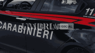 Tenta di disfarsi della droga alla vista dei Carabinieri: denunciato un 31enne 16 Screenshot 2023 03 03 13.20.52