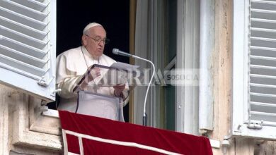 Dieci anni di Papa Francesco, c'è anche il libro di padre Enzo Fortunato 8 papa
