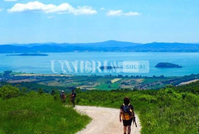 Nasce "Terre del Perugino – Trasimeno musei", al via il portale realizzato da sei comuni del territorio 1 perugino2