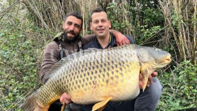 Carpa da quasi 30 kg pescata al Trasimeno, l'impresa da record di Emanuele e Diego 9 339826644 172754898981145 7780494860564892866 n