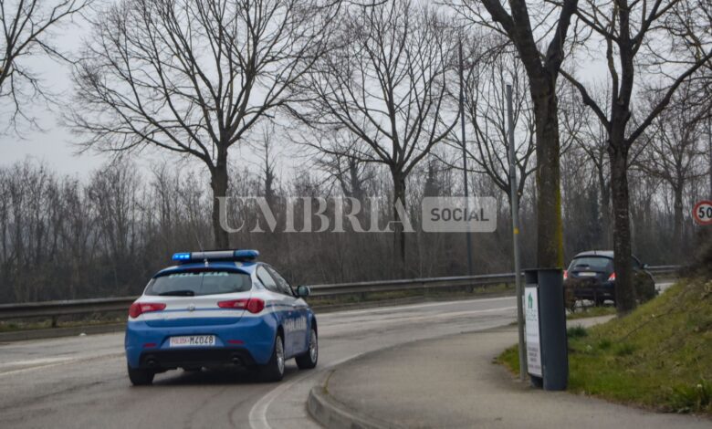 Investe un animale selvatico e resta in panne: aiutata dalla polizia 1 CittadiCastello 74 scaled