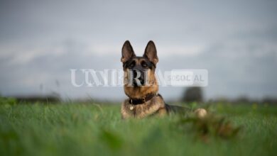 ayelt van veen h48GcuXklwQ unsplash scaled